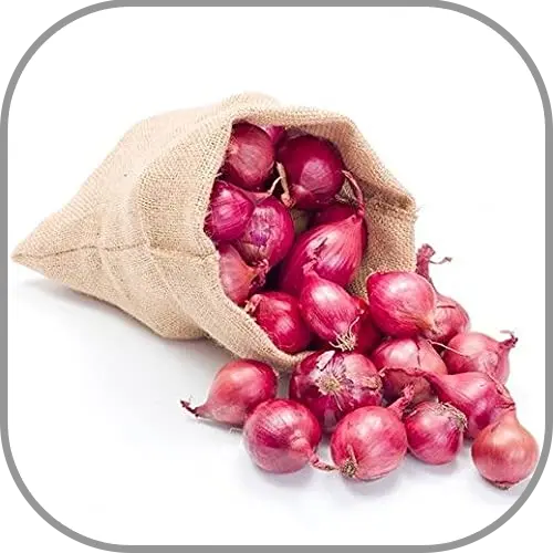 Onion Bag 9Kg