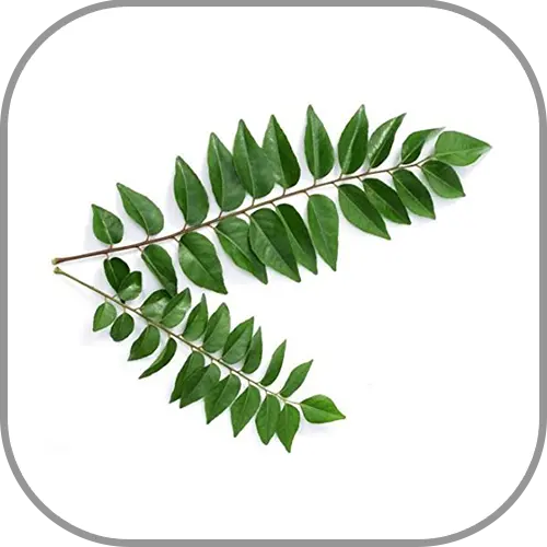 HEERA Dried Curry Leaves 20G